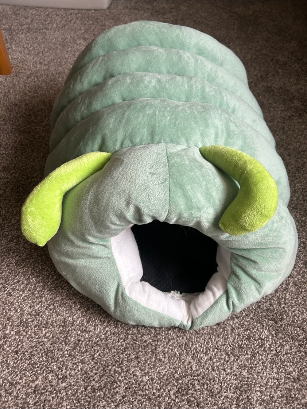 Cute caterpillar pet cave